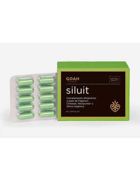 GOAH CLINIC SILUIT 60 CP