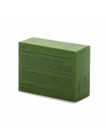 GOAH CLINIC SILUIT 60 CP
