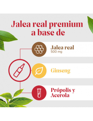 Arkoreal® Jalea Real Energía SIN AZÚCAR – 20...