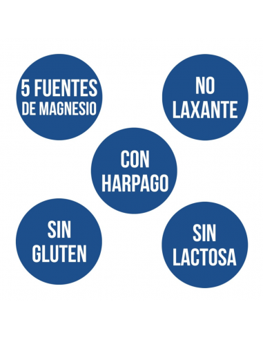 ANA MARIA LAJUSTICIA MAGNESIO TOTAL 5 CON...