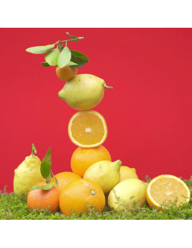 ROGER & GALLET BOIS DORANGE CREMA SUBLIME MANOS...