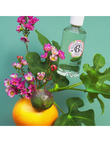 ROGER & GALLET FLEUR DE FIGUIER EAU FRAICHE PERFUMEE VAPORIZADOR 100 ML
