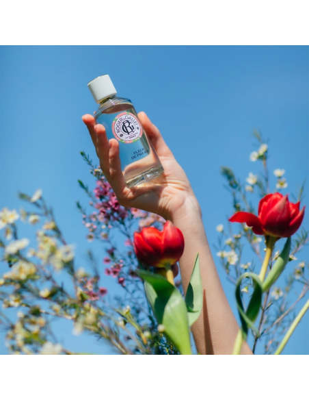 ROGER & GALLET FLEUR DE FIGUIER EAU FRAICHE PERFUMEE VAPORIZADOR 100 ML