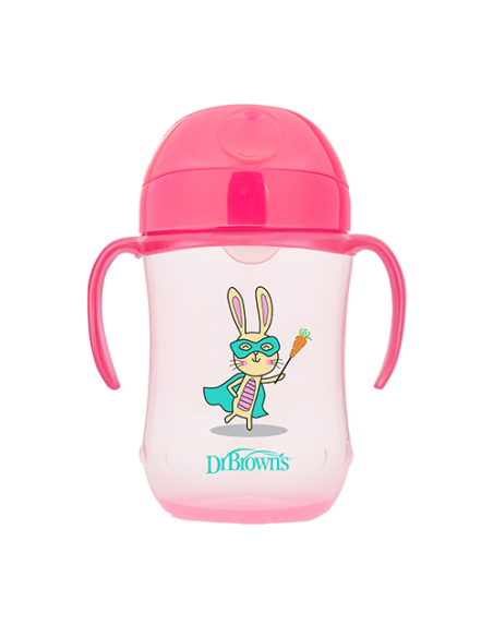 DR BROWNS VASO DE TRANSICIÓN 270 ML 9 MESES
